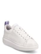 Dee Color Lave Sneakers Pavement