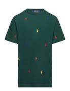 Polo Pony Cotton Mesh Tee Tops T-shirts Short-sleeved Green Ralph Laur...