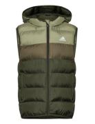 J Sd Vest Fôret Vest Green Adidas Sportswear