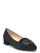 Loafer Pumps Ballerinasko Ballerinaer Black Gabor