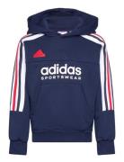 J Np Hoodie Tops Sweat-shirts & Hoodies Hoodies Navy Adidas Sportswear