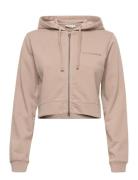 Got The Visa Hoodie Tops Sweat-shirts & Hoodies Hoodies Beige H2O Fage...