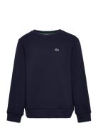 Sweatshirts Sport Sweat-shirts & Hoodies Sweat-shirts Navy Lacoste