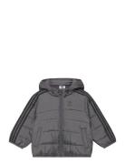 Padded Jacket Sport Jackets & Coats Puffer & Padded Grey Adidas Origin...