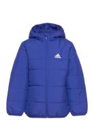 Padded Jacket Kids Sport Jackets & Coats Puffer & Padded Blue Adidas S...