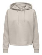 Onpcomfort Ls Brush Hood Swt Tops Sweat-shirts & Hoodies Hoodies Beige...