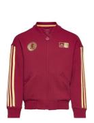 Lk Dy 100 Tt Sport Sweat-shirts & Hoodies Sweat-shirts Burgundy Adidas...