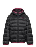 Hooded Jacket Sport Jackets & Coats Puffer & Padded Black Champion