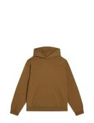 Karson Graphic Hoodie Designers Sweat-shirts & Hoodies Hoodies Brown J...