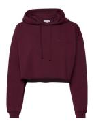 Pro Cropped Sweat Hoodie Tops Sweat-shirts & Hoodies Hoodies Burgundy ...