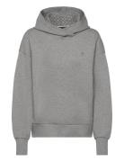 Erkunden2 Tops Sweat-shirts & Hoodies Hoodies Grey BOSS