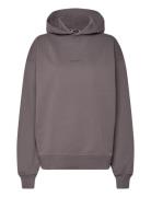 W. Paradise Oslo Hoodie Tops Sweat-shirts & Hoodies Hoodies Grey HOLZW...