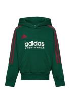 J Np Hoodie Tops Sweat-shirts & Hoodies Hoodies Green Adidas Sportswea...