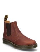 2976 Cashew Ambassador Støvletter Chelsea Boot Brown Dr. Martens