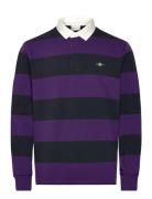 Reg Shield Barstripe Heavy Rugger Tops Polos Long-sleeved Purple GANT