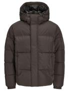 Jjebradley Puffer Hood Sn Fôret Jakke Brown Jack & J S