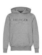 Big Hilfiger Hoody Tops Sweat-shirts & Hoodies Hoodies Grey Tommy Hilf...