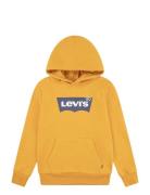 Levi's® Batwing Screenprint Hooded Pullover Tops Sweat-shirts & Hoodie...