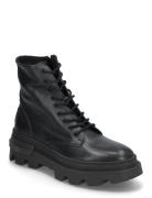 Bas Ankle Boot Støvletter Med Snøring Black Steve Madden