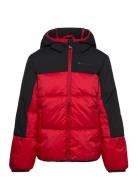 Hooded Jacket Fôret Jakke Red Champion