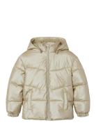 Nkfmaggy Puffer Jacket Shiny Fôret Jakke Gold Name It