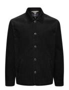 Mashay P Heritage Tops Overshirts Black Matinique