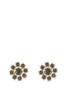 Trinnie Round Ear G/Champagne - Accessories Jewellery Earrings Studs B...