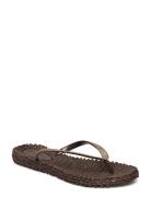 Flipflop With Glitter Shoes Summer Shoes Sandals Flip Flops Brown Ilse...