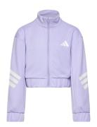 Jg Spr Ttop Sport Sweat-shirts & Hoodies Sweat-shirts Purple Adidas Sp...