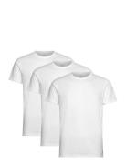 Basic 3 Pack T-Shirt Tops T-shirts Short-sleeved White Lyle & Scott