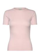 Modal Rib Slim Ss Top Tops T-shirts & Tops Short-sleeved Pink Calvin K...