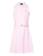 Belted Knit Oxford Polo Dress Dresses & Skirts Dresses Casual Dresses ...