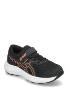 Contend 9 Ps Sport Sports Shoes Running-training Shoes Black Asics