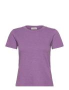 Sonoma Tops T-shirts & Tops Short-sleeved Purple American Vintage