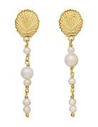 Marylyn Earrings Øredobber Smykker Gold Maanesten