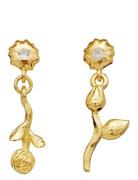 Amaria Earrings Øredobber Smykker Gold Maanesten