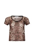 Kilea Top Tops T-shirts & Tops Short-sleeved Brown Noella