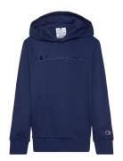 Hooded Sweatshirt Tops Sweat-shirts & Hoodies Hoodies Navy Champion