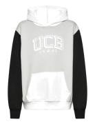 Sweater W/Hood Tops Sweat-shirts & Hoodies Hoodies Grey United Colors ...