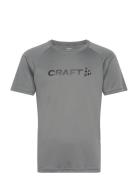 Core Essence Logo Tee M Sport T-shirts Short-sleeved Grey Craft