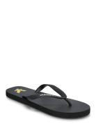 Flip Flop Flip-flopper Sandaler Black Lyle & Scott