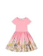 Cissa Dresses & Skirts Dresses Partydresses Pink Molo