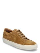Jermain Suede Sneaker Lave Sneakers Brown Polo Ralph Lauren