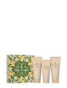The Ginger Body Cream Mother's Day Collection Gifting Set Sett Bath & ...