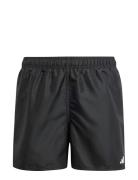 Solid Shorts By Sport Swimshorts Black Adidas Sportswear