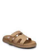 Missile Sandal Flate Sandaler Brown Steve Madden