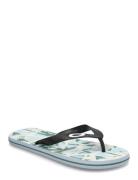 Catalina Flip Flop Flip-flopper Sandaler Blue OAKLEY