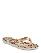 Hav Slim Animals Shoes Summer Shoes Sandals Flip Flops Beige Havaianas
