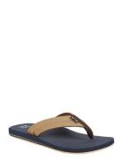 All Day Impact Flip-flopper Sandaler Navy Billabong