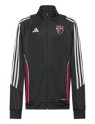 Jb Tiro Jkt Y Sport Sweat-shirts & Hoodies Sweat-shirts Black Adidas P...